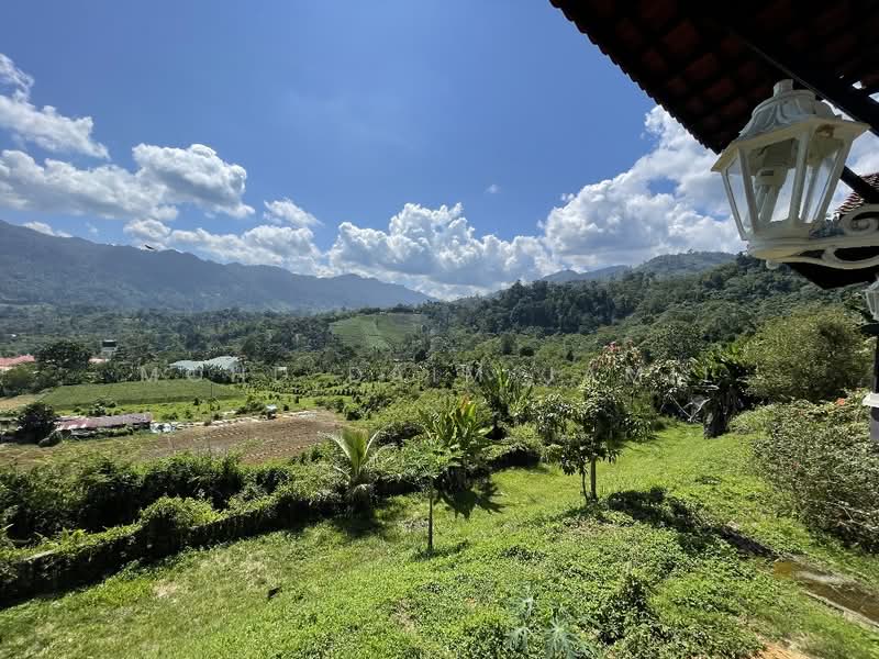 Agricultural Land for Sale in Janda Baik (Bentong) - Mohd Daim Jamil - Exterior - PropertyGuru.com.my
