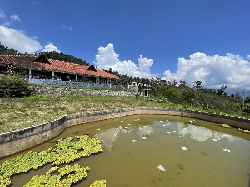 Agricultural Land for Sale in Janda Baik (Bentong) - Mohd Daim Jamil - Exterior - PropertyGuru.com.my