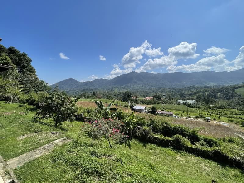 Agricultural Land for Sale in Janda Baik (Bentong) - Mohd Daim Jamil - Exterior - PropertyGuru.com.my