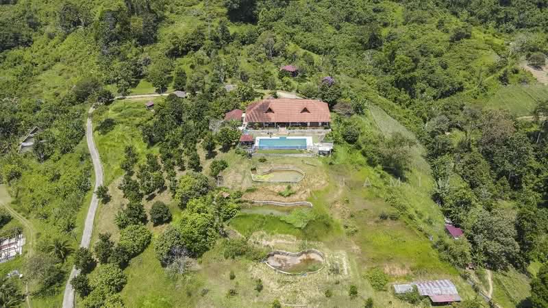 Agricultural Land for Sale in Janda Baik (Bentong) - Mohd Daim Jamil - Exterior - PropertyGuru.com.my