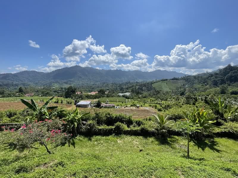Agricultural Land for Sale in Janda Baik (Bentong) - Mohd Daim Jamil - Exterior - PropertyGuru.com.my