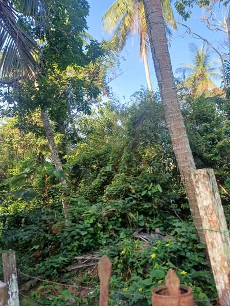 Tanah Kediaman untuk Dijual di Alor Gajah (Melaka) - Azie Nordin - Exterior - PropertyGuru.com.my