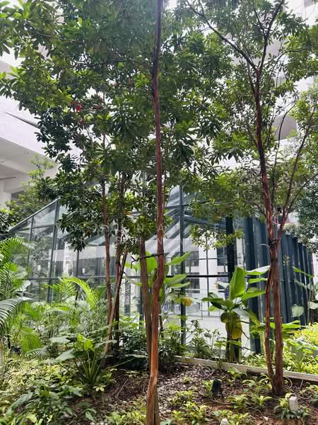 Servis Apartment untuk Disewa di PJ Midtown - Yamuna Devi Krishnan Kutty - PropertyGuru.com.my
