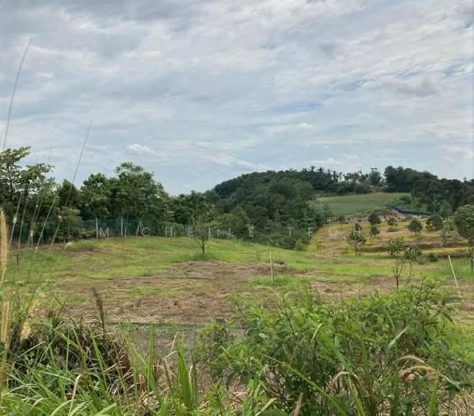 Tanah Pertanian untuk Dijual di Kampung Baru Balakong (Balakong) - Michelle Teoh - Exterior - PropertyGuru.com.my