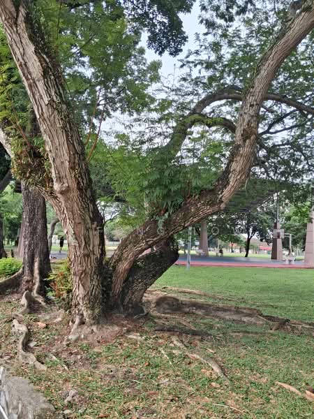 Rumah Teres 2 Tingkat untuk Dijual di Taman Megah (Petaling Jaya) - LiFong Low - PropertyGuru.com.my