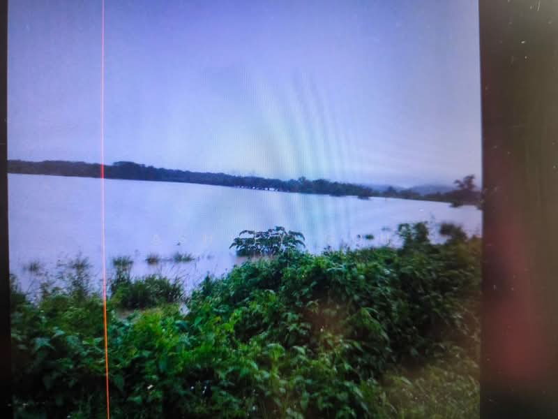 Agricultural Land for Sale in Rompin (Pahang) - Ashley Goh - Exterior - PropertyGuru.com.my