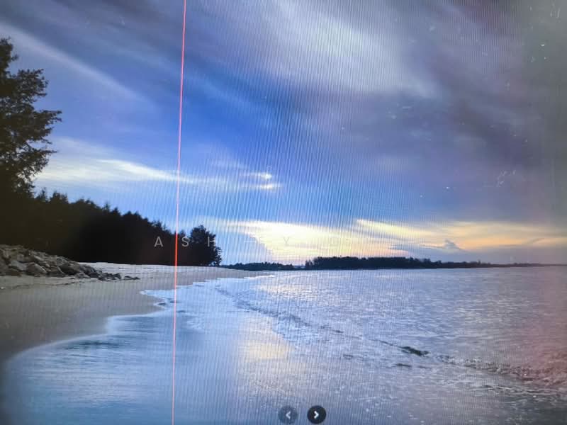 Agricultural Land for Sale in Rompin (Pahang) - Ashley Goh - Exterior - PropertyGuru.com.my
