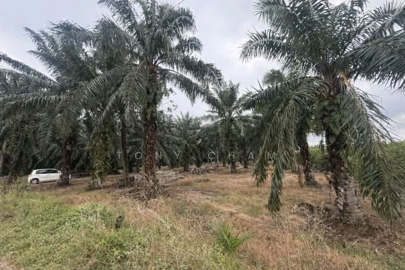 Agricultural Land for Sale in Klang (Selangor) - Tony Cham - Exterior - PropertyGuru.com.my
