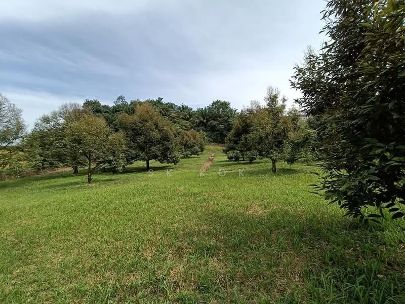 Agricultural Land for Sale in Gopeng (Perak) - SK Kok - PropertyGuru.com.my