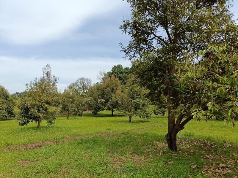 Agricultural Land for Sale in Gopeng (Perak) - SK Kok - PropertyGuru.com.my