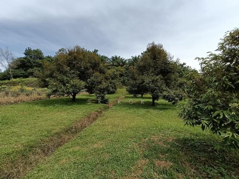 Agricultural Land for Sale in Gopeng (Perak) - SK Kok - PropertyGuru.com.my