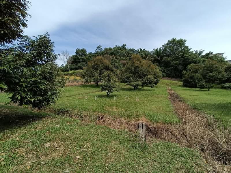 Agricultural Land for Sale in Gopeng (Perak) - SK Kok - PropertyGuru.com.my