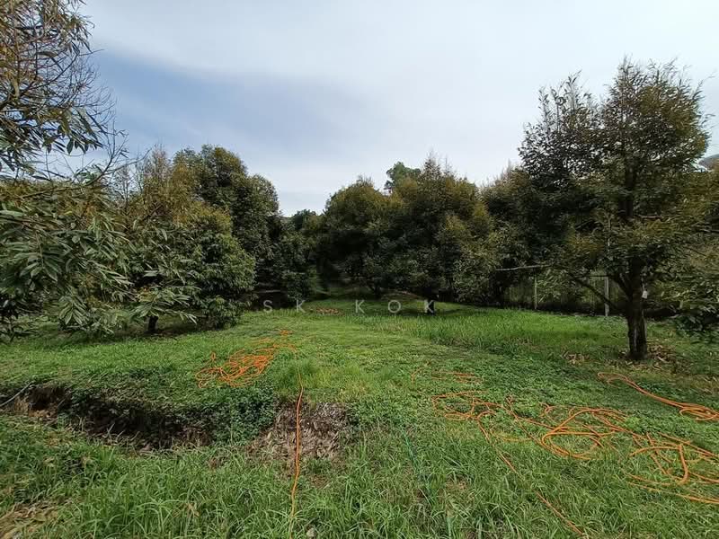 Agricultural Land for Sale in Gopeng (Perak) - SK Kok - PropertyGuru.com.my