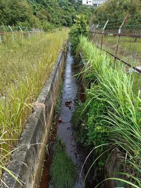Agricultural Land for Sale in Gopeng (Perak) - SK Kok - PropertyGuru.com.my