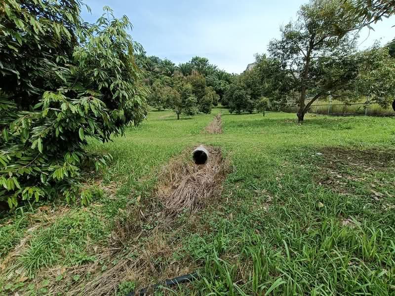 Agricultural Land for Sale in Gopeng (Perak) - SK Kok - PropertyGuru.com.my