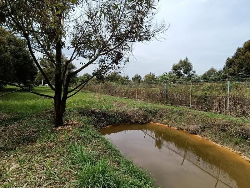 Agricultural Land for Sale in Gopeng (Perak) - SK Kok - PropertyGuru.com.my