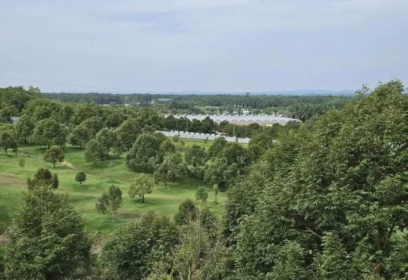 Agricultural Land for Sale in Gopeng (Perak) - SK Kok - PropertyGuru.com.my