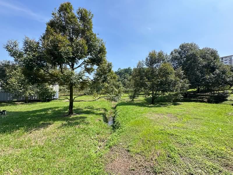 Agricultural Land for Sale in Gopeng (Perak) - SK Kok - PropertyGuru.com.my