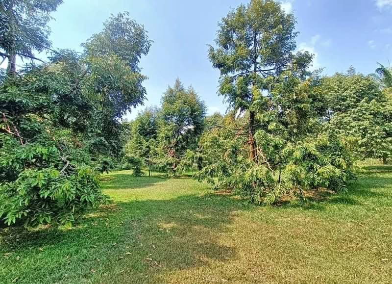 Agricultural Land for Sale in Gopeng (Perak) - SK Kok - PropertyGuru.com.my
