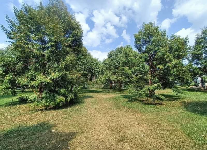 Agricultural Land for Sale in Gopeng (Perak) - SK Kok - PropertyGuru.com.my