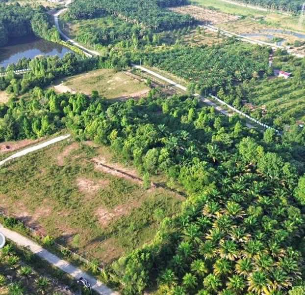 Agricultural Land for Sale in Gopeng (Perak) - SK Kok - PropertyGuru.com.my