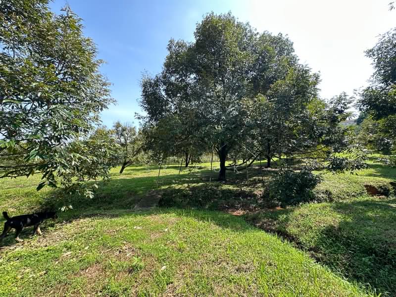 Agricultural Land for Sale in Gopeng (Perak) - SK Kok - PropertyGuru.com.my