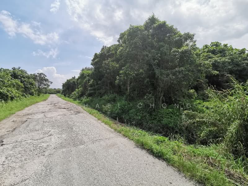 Tanah Perindustrian untuk Dijual di Gelang Patah (Johor) - Michael Chong - Exterior - PropertyGuru.com.my