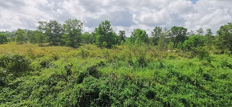 Tanah Perindustrian untuk Dijual di Gelang Patah (Johor) - Michael Chong - Exterior - PropertyGuru.com.my