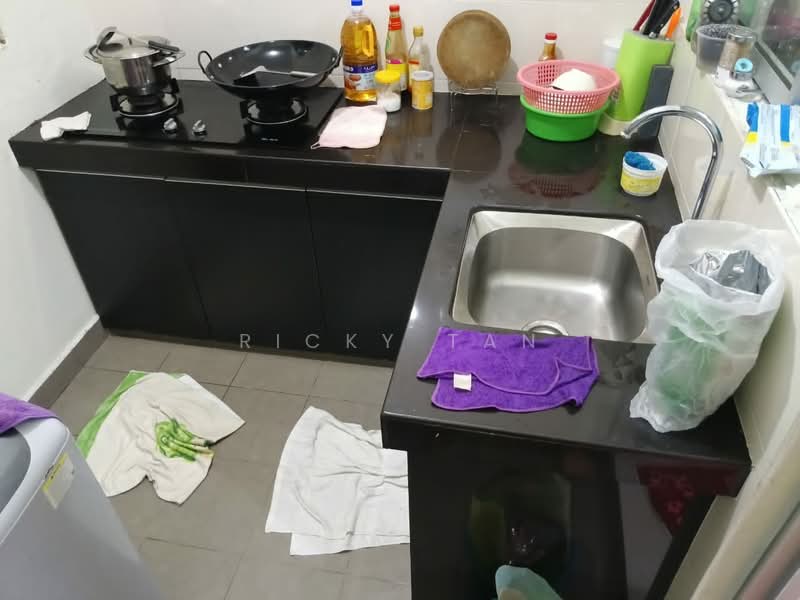 Condominium for Sale at Tiara ParkHomes - Ricky Tan - Kitchen - PropertyGuru.com.my