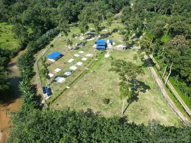 Agricultural Land for Sale in Bidor (Perak) - Kit Pin Liew - PropertyGuru.com.my