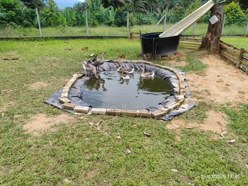 Agricultural Land for Sale in Bidor (Perak) - Kit Pin Liew - PropertyGuru.com.my