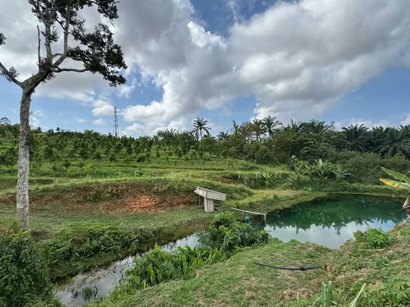 Tanah Pertanian untuk Dijual di Senai (Johor) - Jessie Tan - Exterior - PropertyGuru.com.my