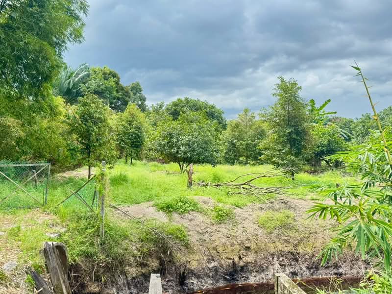 Tanah Pertanian untuk Dijual di Serkat (Johor) - Jessie Tan - Exterior - PropertyGuru.com.my