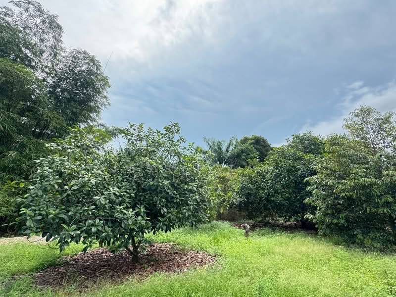 Tanah Pertanian untuk Dijual di Serkat (Johor) - Jessie Tan - Garden - PropertyGuru.com.my