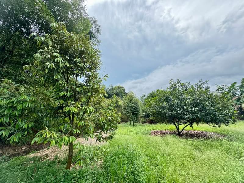 Tanah Pertanian untuk Dijual di Serkat (Johor) - Jessie Tan - Garden - PropertyGuru.com.my
