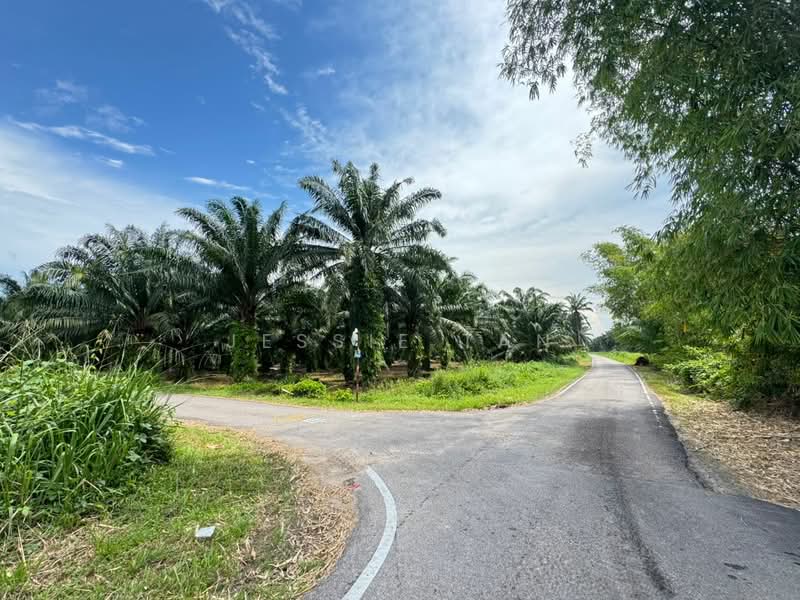 Tanah Pertanian untuk Dijual di Serkat (Johor) - Jessie Tan - Exterior - PropertyGuru.com.my
