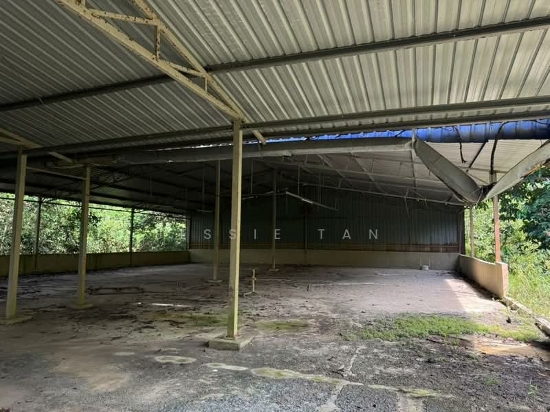 Agricultural Land for Sale in Kota Tinggi (Johor) - Jessie Tan - Exterior - PropertyGuru.com.my