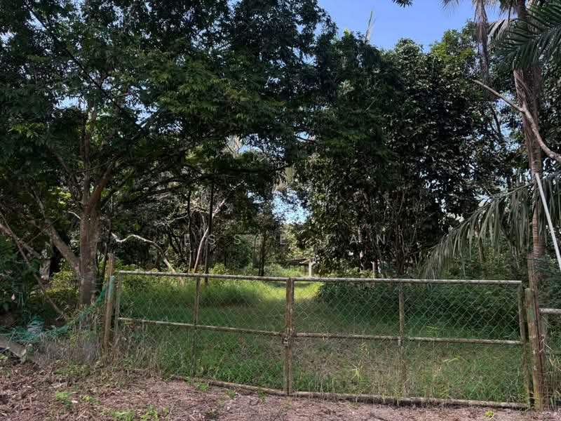 Agricultural Land for Sale in Kota Tinggi (Johor) - Jessie Tan - Exterior - PropertyGuru.com.my
