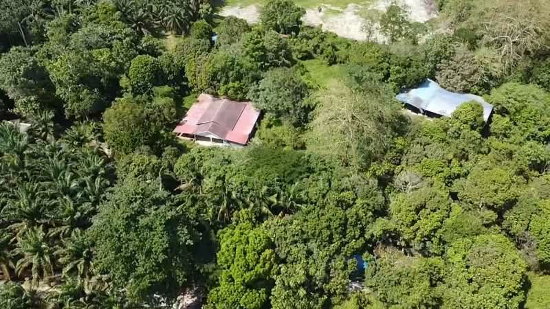 Agricultural Land for Sale in Kota Tinggi (Johor) - Jessie Tan - Exterior - PropertyGuru.com.my
