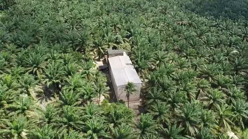 Agricultural Land for Sale in Kota Tinggi (Johor) - Jessie Tan - Exterior - PropertyGuru.com.my