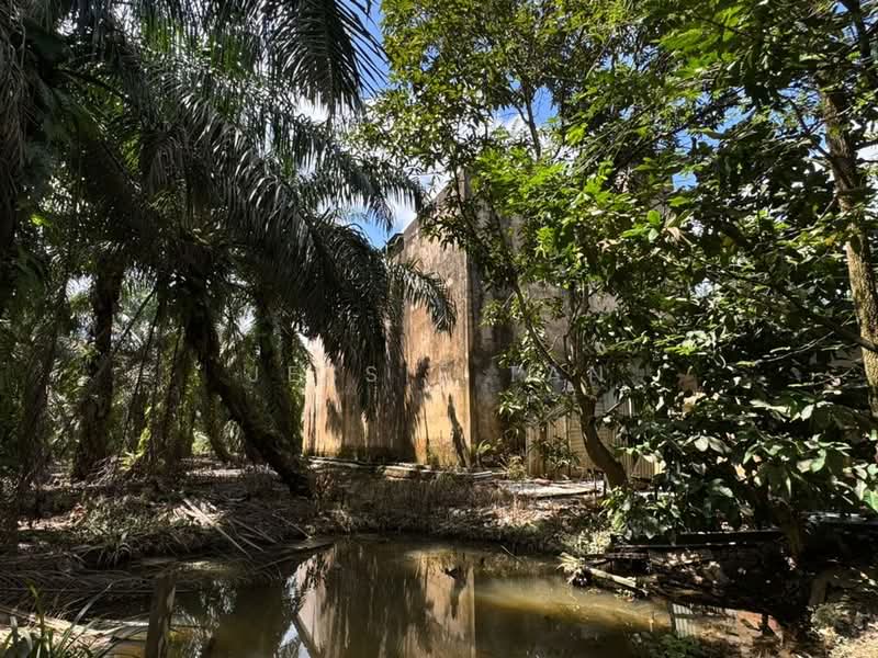Agricultural Land for Sale in Kota Tinggi (Johor) - Jessie Tan - Exterior - PropertyGuru.com.my