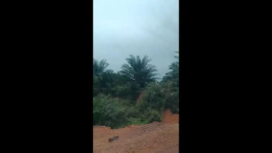 Tanah Pertanian untuk Dijual di Mersing (Johor) - Rose Gan - PropertyGuru.com.my