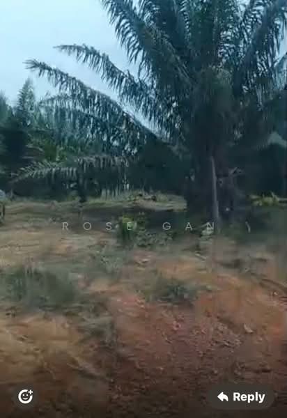 Tanah Pertanian untuk Dijual di Mersing (Johor) - Rose Gan - Exterior - PropertyGuru.com.my