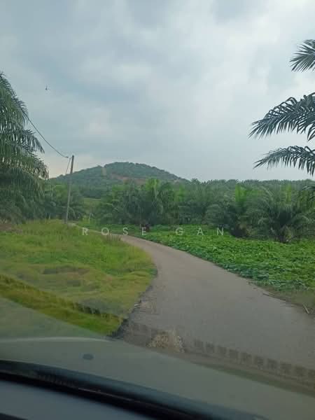 Tanah Pertanian untuk Dijual di Mersing (Johor) - Rose Gan - Exterior - PropertyGuru.com.my
