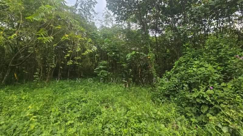 Kalumpang, Hulu Selangor - 4