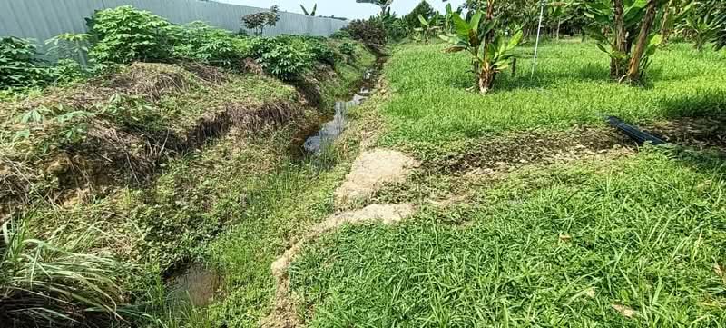 Tanah Pertanian untuk Dijual di Gopeng (Perak) - Kit Pin Liew - PropertyGuru.com.my