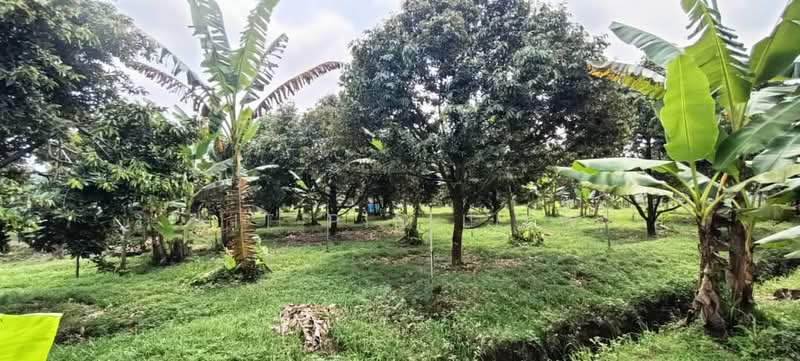 Tanah Pertanian untuk Dijual di Gopeng (Perak) - Kit Pin Liew - PropertyGuru.com.my