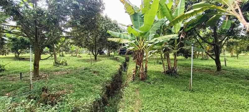 Tanah Pertanian untuk Dijual di Gopeng (Perak) - Kit Pin Liew - PropertyGuru.com.my