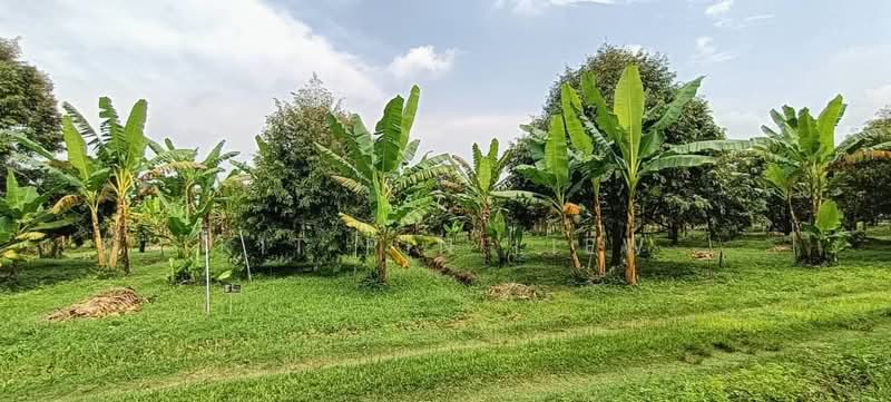 Tanah Pertanian untuk Dijual di Gopeng (Perak) - Kit Pin Liew - PropertyGuru.com.my