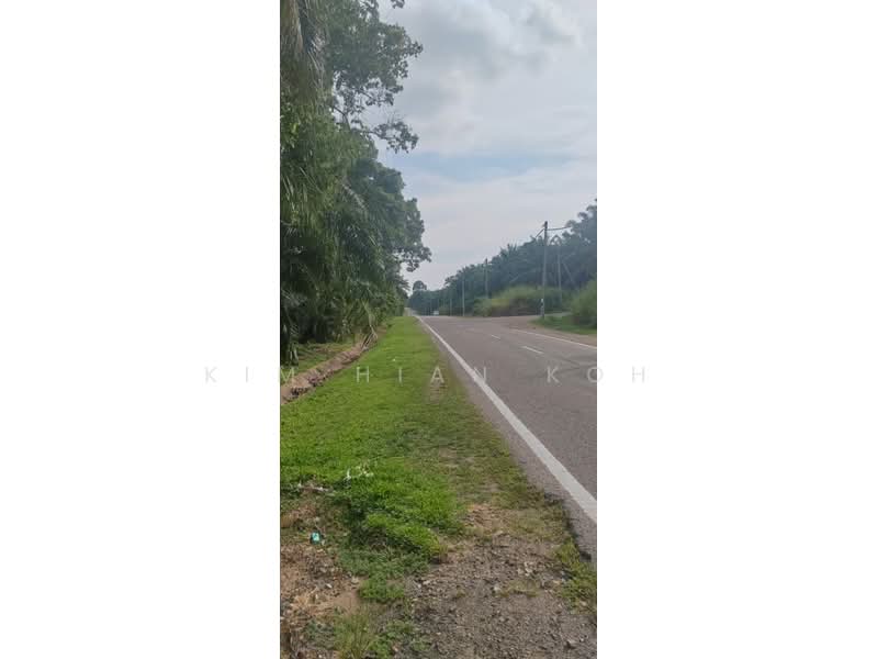 Agricultural Land for Sale in Temerloh (Pahang) - Kim Hian Koh - Exterior - PropertyGuru.com.my